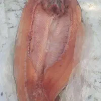 ماهی قزل آلا تازه به شرط
