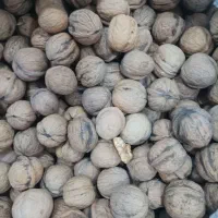 کشمش|عمده‌فروشی|بهارستان, |دیوار