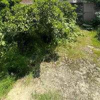 فروش ویلای قدیمی ۲۶۰ متری سنددار،موقعیت روستایی|فروش زمین و ملک کلنگی|کیاکلا, |دیوار