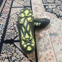 کفش استوک بلند چمنی|کیف، کفش، کمربند|صدرا-فارس, فاز ۲|دیوار