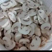 پخش قارچ اسلایسی و سالم مرغوب