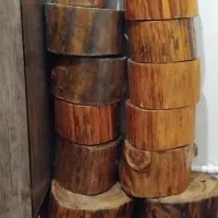 تنه درخت
