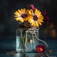 گل مهربانی