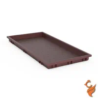 باکس نشا|گل و گیاه طبیعی|لنگرود, |دیوار