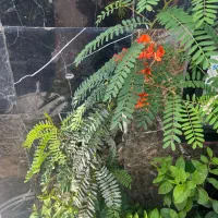 کارگر برای کار در قطعه برای کار در امور ساختمانی