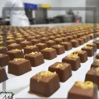 استخدام شرکت معتبر /کارگر آقا و خانم|استخدام صنعتی، فنی، مهندسی|اسلامشهر, زرافشان|دیوار