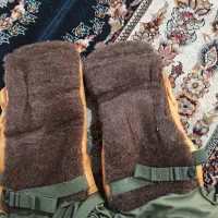 دستکش قطبی آمریکایی