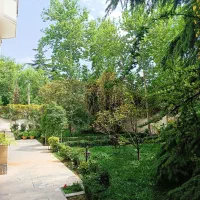 نیاوران/ ۳۱۵متر۴خواب/۴پارکینگ/ مشاعات آبی|فروش آپارتمان|تهران, نیاوران|دیوار