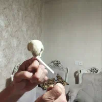 طوطی برزیلی دستی نر|پرنده|محمدشهر, محمدشهر|دیوار