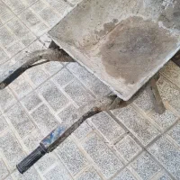 فرغون سالم بدون پوسیدگی