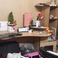 میز تحریر|میز تحریر و کامپیوتر|مشهد, فلسطین|دیوار