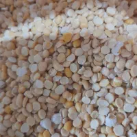 حبوبات خورده وعمده با قیمت استثنایی|عمدهفروشی|مرودشت, علیآباد|دیوار