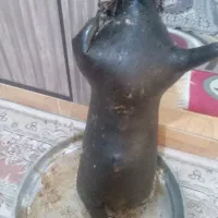 هیزه