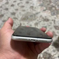 آیفون iPhone 11|موبایل|مشهد, رضاشهر|دیوار