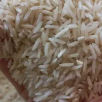 برنج طارم محلی|خوردنی و آشامیدنی|کوهدشت, |دیوار