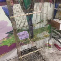 قفس بسیاربزرگ دوطبقه کاسکویی    آیهان|لوازم جانبی حیوانات|خوی, |دیوار