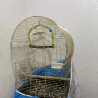 قفس زیبا