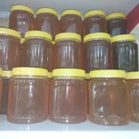 عسل جنگلی طبی باضمانت