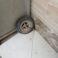 رینگ و لاستیک فرغون