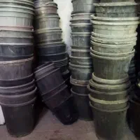 گلدان گل
