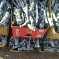 پخش زغال پسته|عمدهفروشی|تهران, ستارخان|دیوار