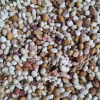 خرید پسته پیت و زردو نخودو