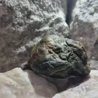 سنگ یشم سبز قیمتی|کلکسیون اشیاء عتیقه|شیراز, شهرک قمشه|دیوار