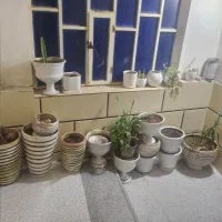 گلدان