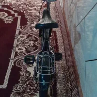 دوچرخه ۱۲|دوچرخه، اسکیت، اسکوتر|بروجرد, |دیوار