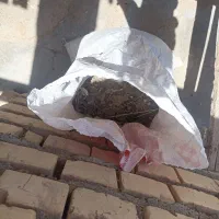 ری کفتر