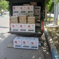 تخم مرغ تازه و درشت