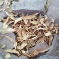 میش وبز معاوضه با ماشین