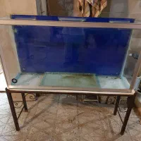 آکواریوم ماهی ۱۲۰ سانتی