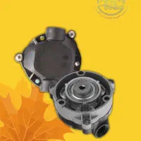 کلگی پمپ ایرانی (Masoumi)