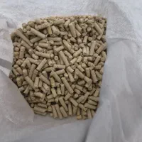 خرگوش لوپ۶ماهه|موش و خرگوش|تهران, جیحون|دیوار