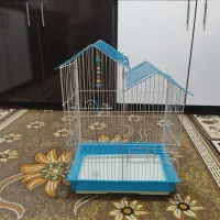 قفس پرنده