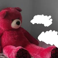 خرس قرمز