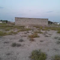 زمین