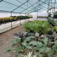 فروش گلخانه|فروش دفتر صنعتی، کشاورزی، تجاری|عباسآباد, |دیوار