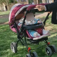 کالسکه و کیف مارک دلیجان