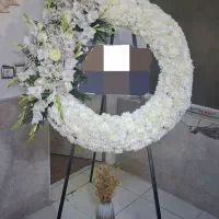 گل پایه دار