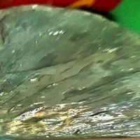 یشموغیره