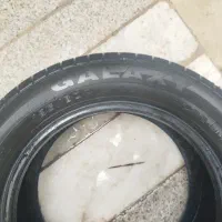 دو عدد لاستیک گلگسی