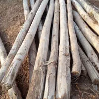 تیر فروشی|حراج|اسفراین, |دیوار