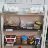 یخچال فلور  در آمل