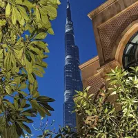 مشاوره و خرید از دبی