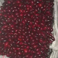 زغال اخته تازه