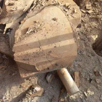 فروش اصلب وکالباسی