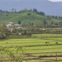 ۷۳۰ متر با جواز با چشم انداز ابدی/ رشت چماچا