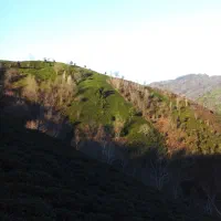 زمین باغی باویوی بینظیر در روستای توریستی سرچشمه|فروش زمین و ملک کلنگی|لاهیجان, لیل|دیوار
